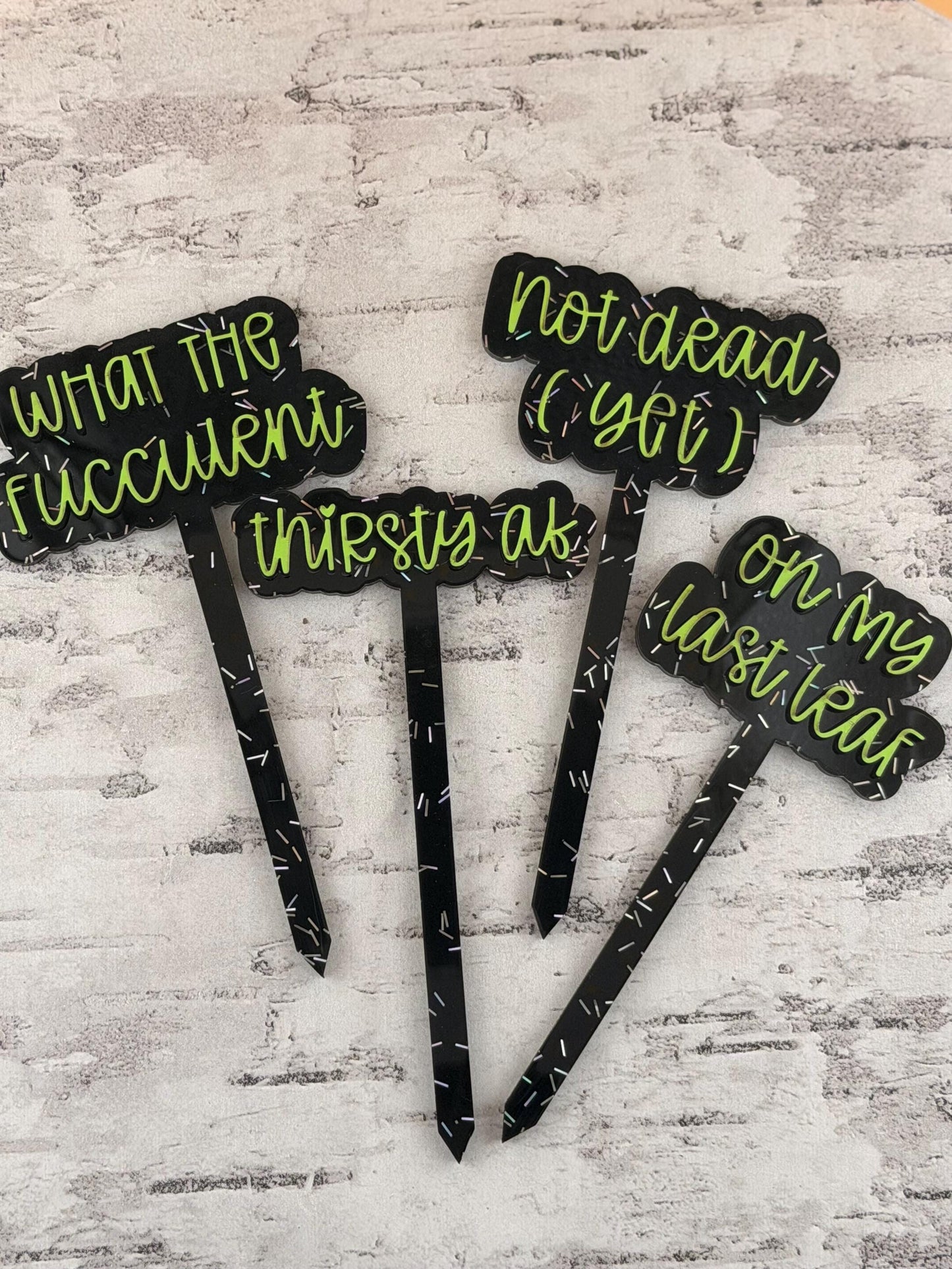 Funny Plant Stakes - Sassy Succulent Markers - Gift for Plant Lovers