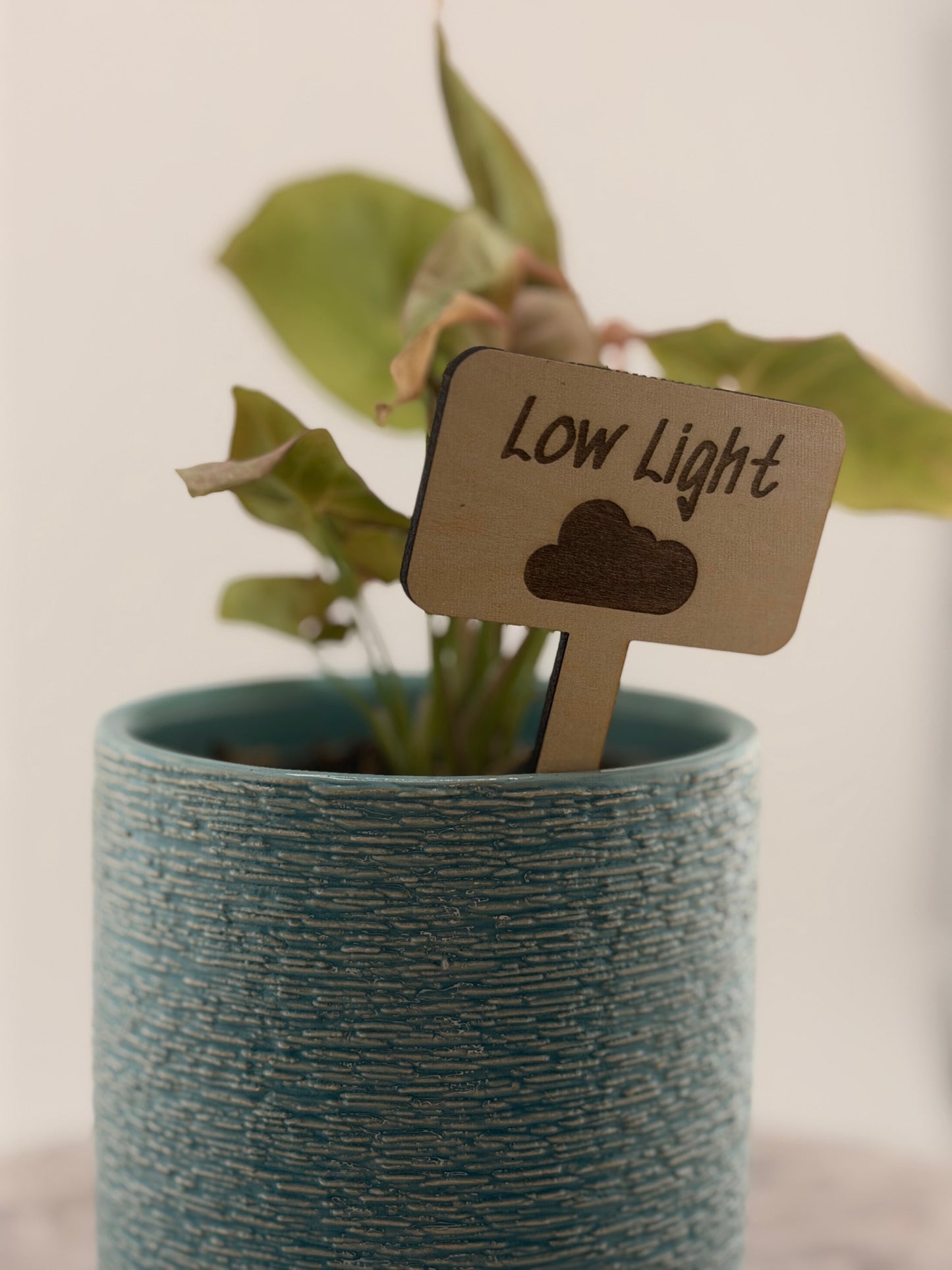 Wooden Plant Care Stakes Set of 6 | Indoor Plant Labels | Light & Water Care Guide