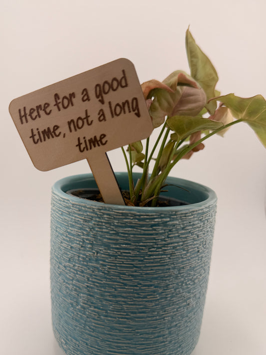 Funny Plant Stakes Set of 6 | Snarky Plant Markers | Wooden Garden Labels | Plant Lover Gift