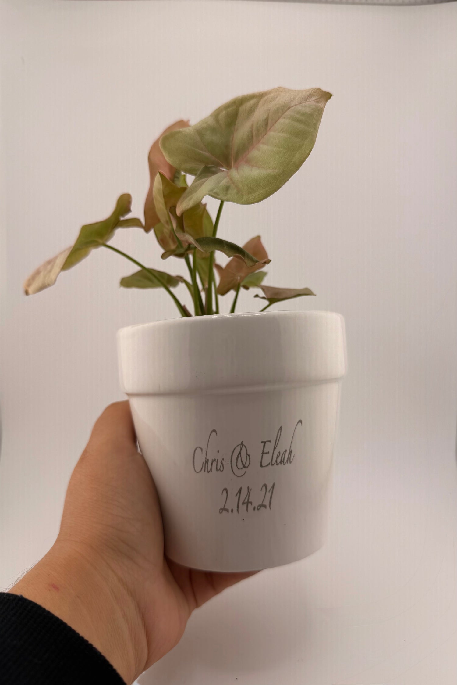 white ceramic flower pot  engraved with two names & a date