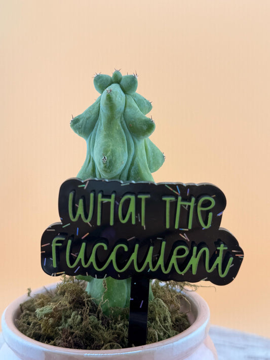 Funny Plant Stakes - Sassy Succulent Markers - Gift for Plant Lovers