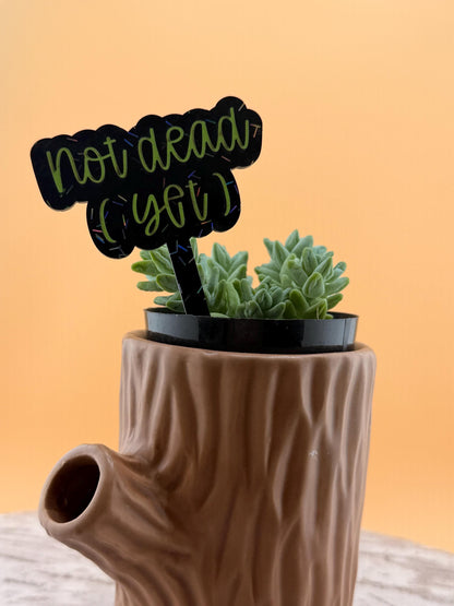 Funny Plant Stakes - Sassy Succulent Markers - Gift for Plant Lovers
