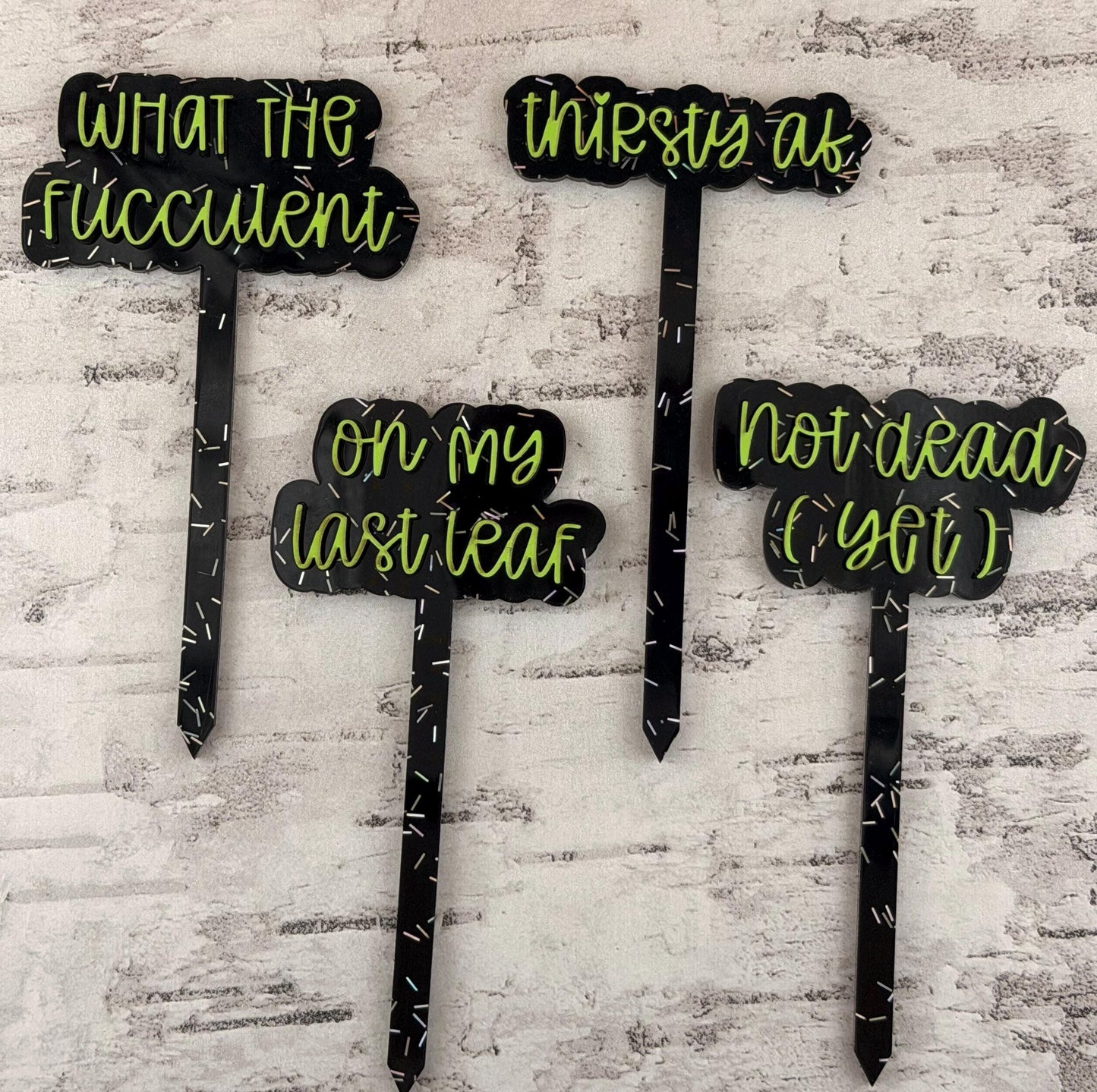 Funny Plant Stakes - Sassy Succulent Markers - Gift for Plant Lovers