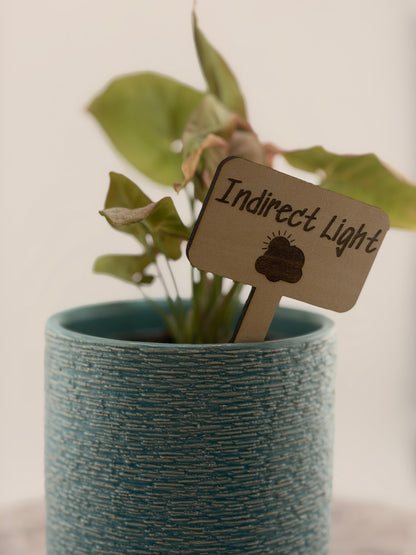 Wooden Plant Care Stakes Set of 6 | Indoor Plant Labels | Light & Water Care Guide