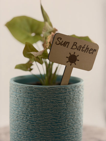 Wooden Plant Care Stakes Set of 6 | Indoor Plant Labels | Light & Water Care Guide