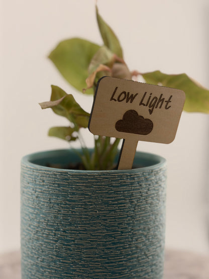 Wooden Plant Care Stakes Set of 6 | Indoor Plant Labels | Light & Water Care Guide