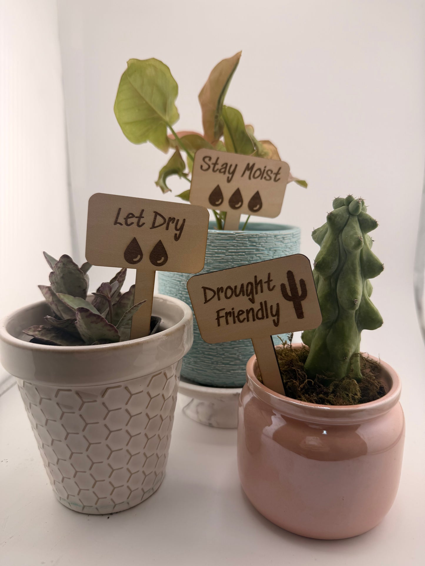 Wooden Plant Care Stakes Set of 6 | Indoor Plant Labels | Light & Water Care Guide
