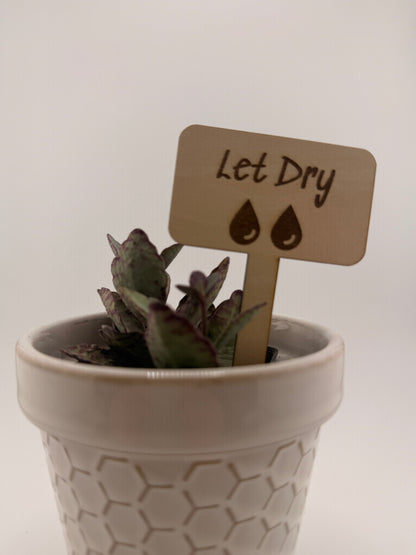 Wooden Plant Care Stakes Set of 6 | Indoor Plant Labels | Light & Water Care Guide