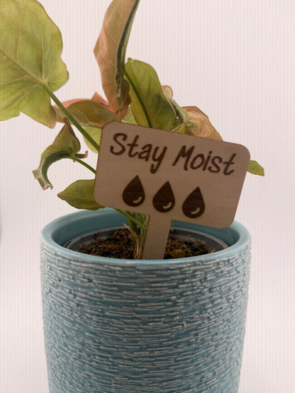 Wooden Plant Care Stakes Set of 6 | Indoor Plant Labels | Light & Water Care Guide