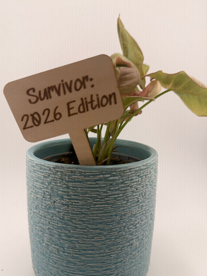 Funny Plant Stakes Set of 6 | Snarky Plant Markers | Wooden Garden Labels | Plant Lover Gift