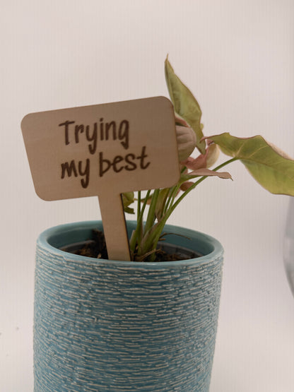 Funny Plant Stakes Set of 6 | Snarky Plant Markers | Wooden Garden Labels | Plant Lover Gift