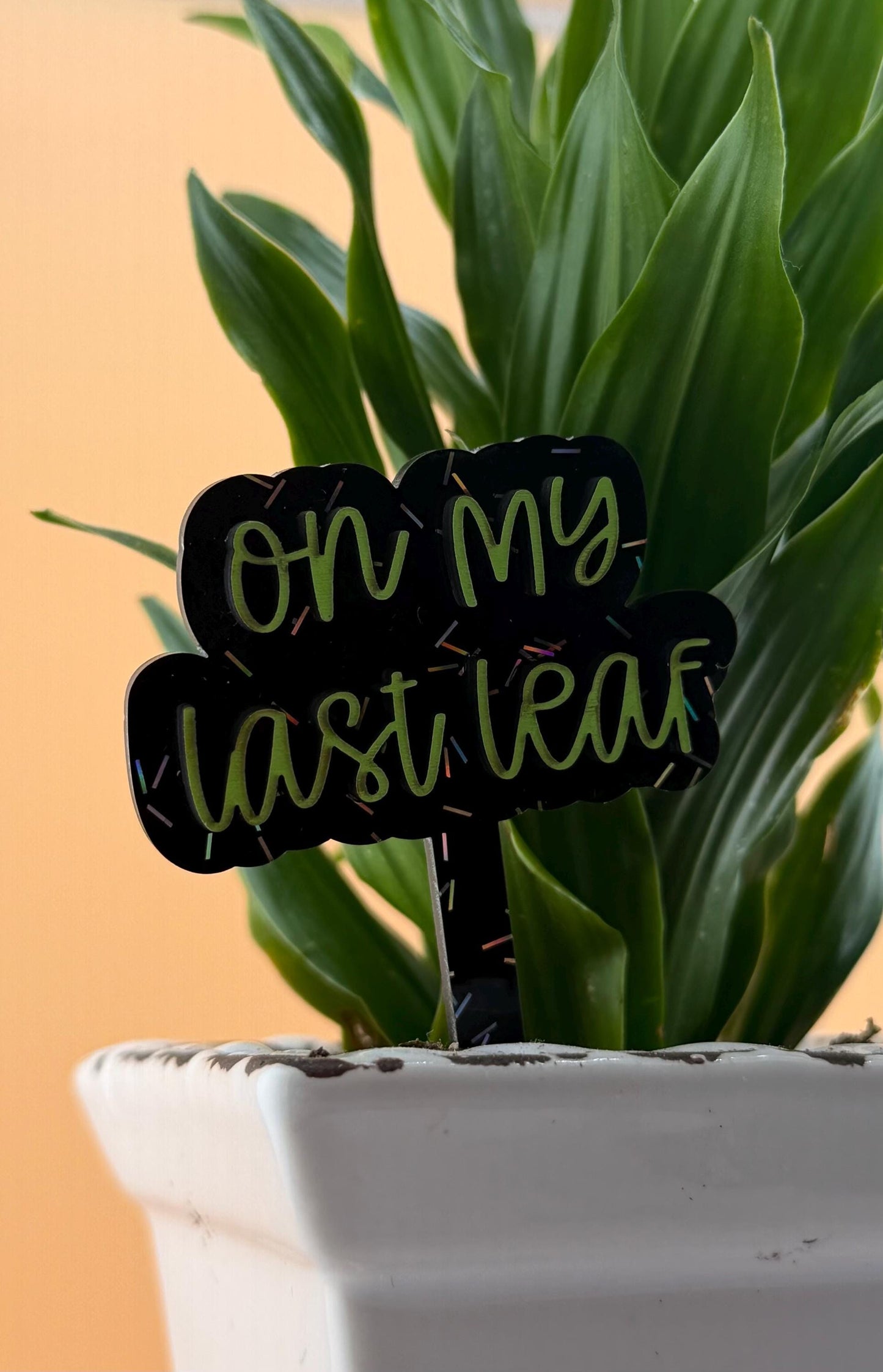 Funny Plant Stakes - Sassy Succulent Markers - Gift for Plant Lovers