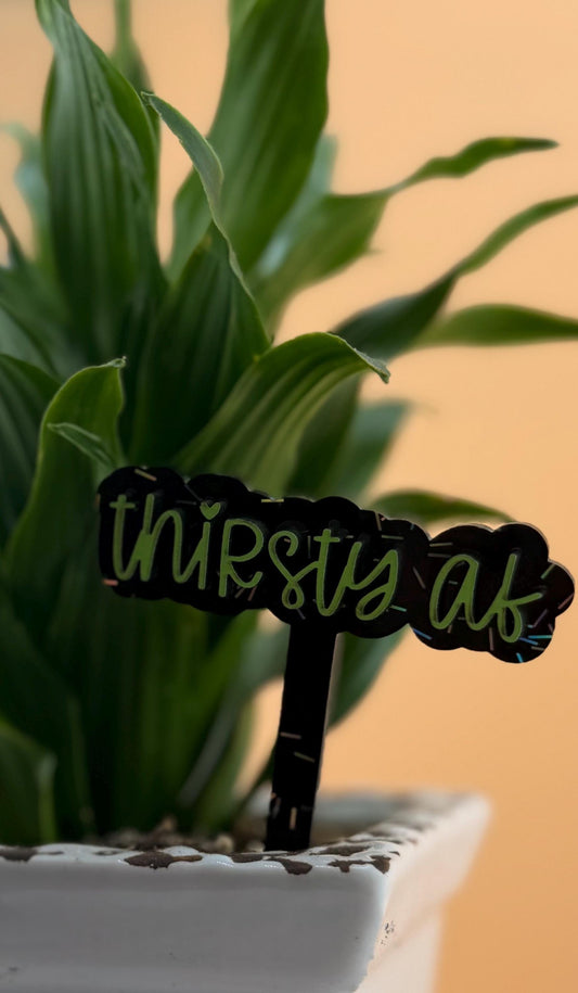 Funny Plant Stakes - Sassy Succulent Markers - Gift for Plant Lovers