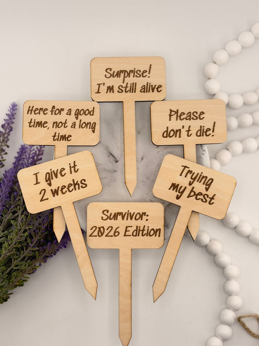 Funny Plant Stakes Set of 6 | Snarky Plant Markers | Wooden Garden Labels | Plant Lover Gift