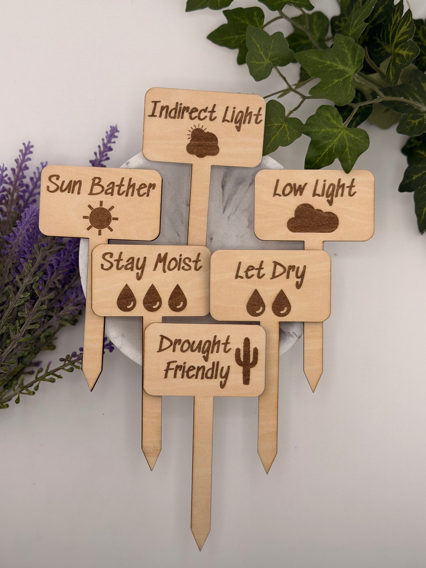 Wooden plant care stakes Set of 6, laser-engraved plant markers, indoor plant labels, light and water care guide