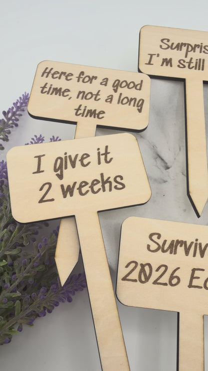 Funny Plant Stakes Set of 6 | Snarky Plant Markers | Wooden Garden Labels | Plant Lover Gift